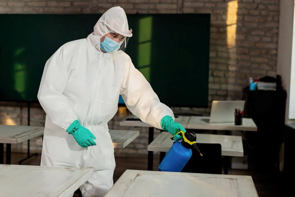 Why Humane Rat Trapping Solutions Are the Future of Commercial Pest Control